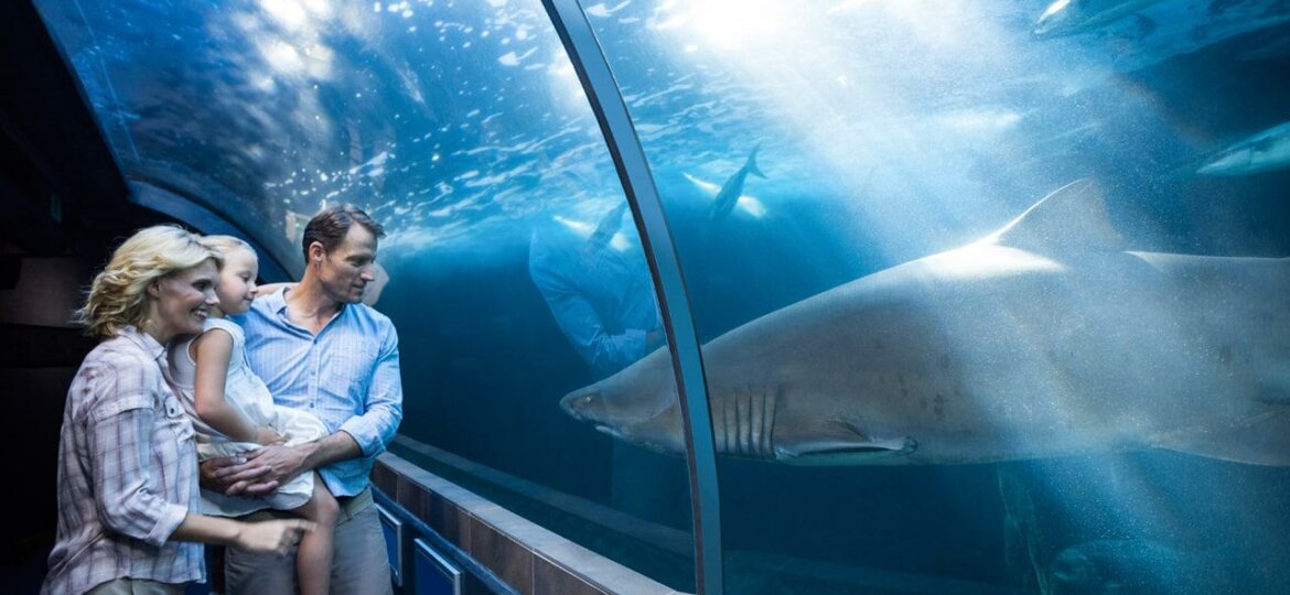 hello_weekend_family_at_two_oceans_aquarium_looking_at_shark_istock